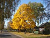Narowlja, Goldener Herbst.jpg